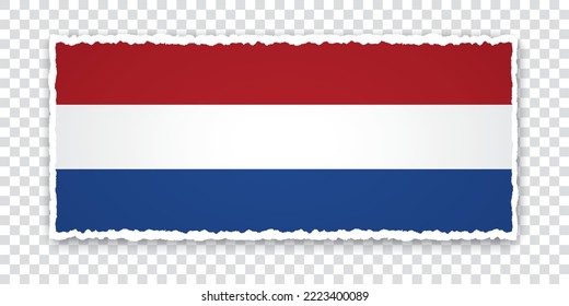 vector illustration of torn paper banner with flag of Netherlands on transparent background