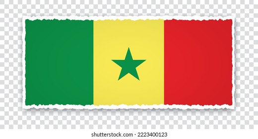 ilustración vectorial de banner de papel roto con bandera de Senegal en fondo transparente