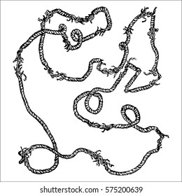 Vector illustration torn thread