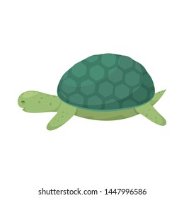 Vector illustration of tortoise and maori symbol. Set of tortoise and animal stock symbol for web.