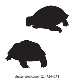 Vector Illustration Tortoise Turtle Silhouette Stock Vector (Royalty ...