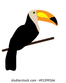 vector illustration of a toucan bird 