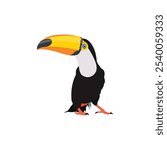 Vector illustration of toucan bird in cartoon flat style. Single colorful tropical bird wildlife animal. Pet Ramphastos toco isolated for digital resources, icon, logo, etc