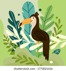 Vector illustration of toucan bird cartoon character. Cute toucan flat vector isolated on white. Fauna of South America and the jungle. Illustration of wild animal for zoo logo, exotic store, nature