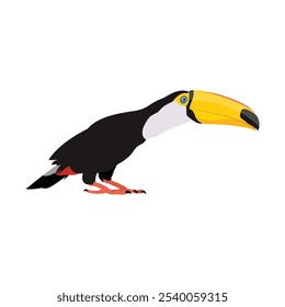 Ilustración vectorial de pájaro tucán en estilo plano de dibujos animados. Solo colorida ave tropical animal salvaje. Mascota Ramphastos toco aislado para recursos digitales, icono, logotipo, etc