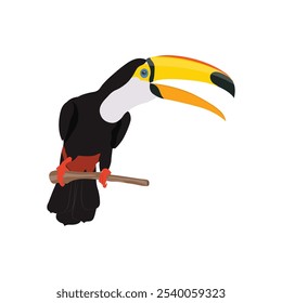 Ilustración vectorial de pájaro tucán en estilo plano de dibujos animados. Solo colorida ave tropical animal salvaje. Mascota Ramphastos toco aislado para recursos digitales, icono, logotipo, etc