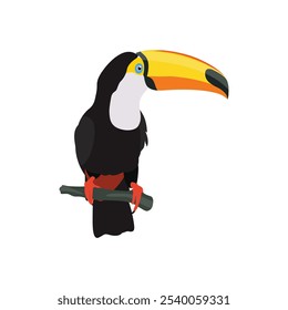 Ilustración vectorial de pájaro tucán en estilo plano de dibujos animados. Solo colorida ave tropical animal salvaje. Mascota Ramphastos toco aislado para recursos digitales, icono, logotipo, etc