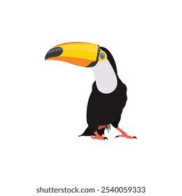 Ilustração vetorial de pássaro tucano em estilo cartoon flat. Um único colorido animal selvagem de aves tropicais. Pet Ramphastos para o isolado para recursos digitais, ícone, logotipo, etc