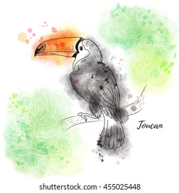 Vector illustration with toucan. Bird and leaves on spotted watercolor backdrop. Inscription Toucan. 