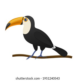 Vector illustration of a toucan bird sitting on a branch.