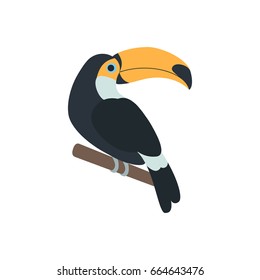 Vector illustration of toucan bird sitting on branch isolated on white background