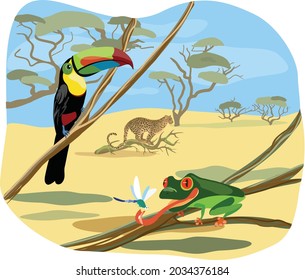 Vector illustration with toucan bird, tropical frog, insect and leopard in the background. Summer landscape with inhabitants of the savannah and tropics, lianas, sands, trees. Cartoon illustration.