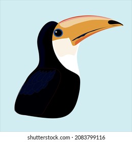 Toucan bird gelbe Nase hellblauer Hintergrund