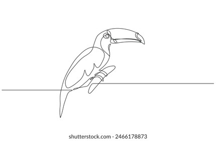 vector illustration of a toucan in continuous line style.