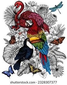 Vector illustration of a toucan, flamingos and a macaw parrot in a tropical garden with butterflies in an engraving style. Anthurium, palm and banana leaves, plumeria, zantedeschia, monstera