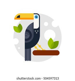 Vector illustration of a toucan made in flat style. Cartoon character.