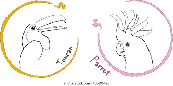 Vector illustration of toucan and parrot in half circles.