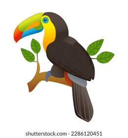 Vector illustration of a toucan sitting on a branch, isolated on a white background