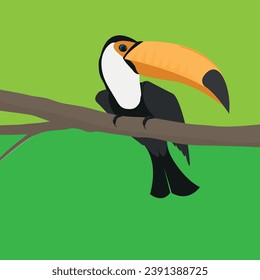Vector illustration of a toucan sitting on a branch