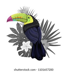 Vector illustration with a toucan and tropical exotic flowers, leaves on a white background