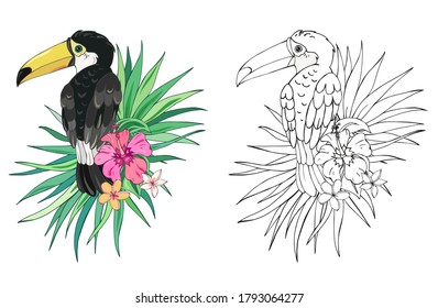 Vector Illustration of toucan and tropical plants. Black and white vector illustration for coloring book. Beautiful drawings with patterns and small details. 