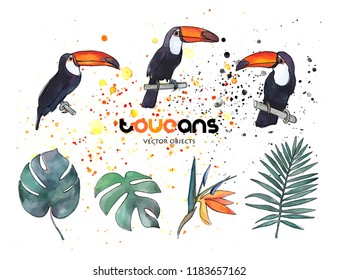Vector illustration. Toucans  and leaves. Vector objects set.