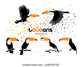 Vector illustration. Toucans  set. Vector objects.