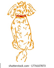 Vector illustration of toy apricot poodle dog. Little orange dog image.