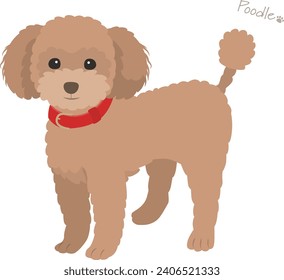 Vector illustration of toy poodle red