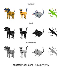 Vector illustration of toy and science sign. Collection of toy and toy stock vector illustration.
