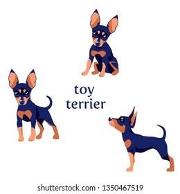 Vector illustration of Toy Terrier in various poses.