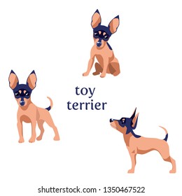 Vector illustration of Toy Terrier in various poses.