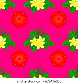Vector illustration. Traditional Indian floral seamless pattern with motley plumeria flowers on a magenta background.