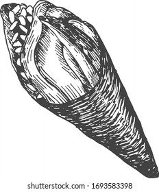 Vector illustration of a traditional Japanese oriental single temaki sushi food. Vintage hand drawn engraving style.