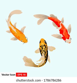 Vector illustration of traditional sacred Japanese Koi carp fish