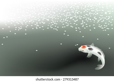 Vector illustration of traditional sacred Japanese Koi carp fish
