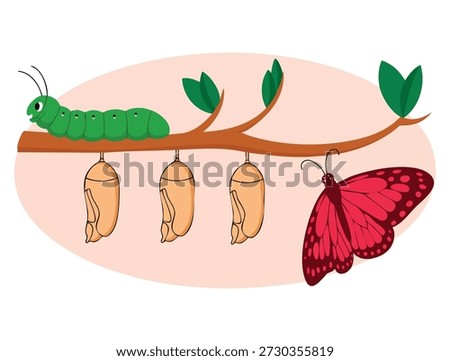 Vector illustration of transforming concept representing transformation metaphor changing evolution modification process and time development creative idea