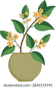 vector
illustration
Transparent background
potted
plants