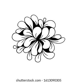Vector illustration. Transparent floral element with a black outline isolated on white. Hand drawn doodle clipart. Perfect for logo, social media Highlight Cover, icon, wedding projects.