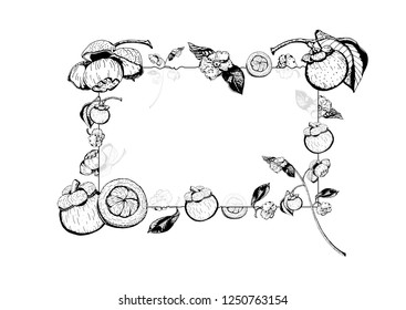 Vector illustration of transparent glass frame with purple mangosteen fruits, flowers, leaves.  Garcinia Mangostana, hand drawn in black and white.
