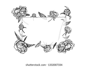 Vector illustration of transparent glass frame with peony flowers, buds and leaves.  Paeony, isolated on white background. Greeting card with beautiful flora hand drawn in black and white.