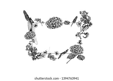 Vector illustration of transparent glass frame with lilac, muscari, hortensia flowers.  Blooming flora, isolated on white background. Greeting card with beautiful plants, hand drawn in black and white