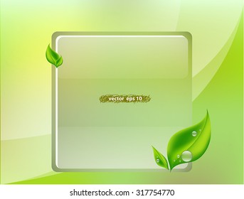 vector illustration of transparent square box for message contents with leaf & water drops over green curves background. Idea for brochure, eco, ecology, spa, nature, website, organic idea template