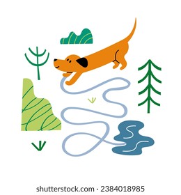 Vector illustration with a traveling dachshund. Isolated illustration by a dog.