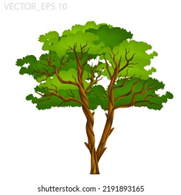 Vector Illustration Of A Tree With A 3d Styled Trunk Isolated On A White Background Suitable For Animation Designs, Templates And Complementary Objects.