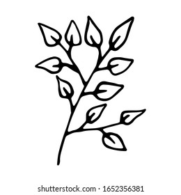 Vector illustration a tree branch drawn by hand in the Doodle style.