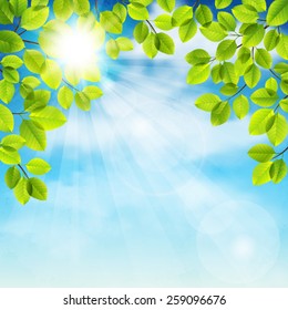Vector illustration of tree branches against the blue sky