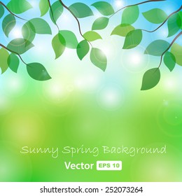 vector illustration of tree branches in sunny day