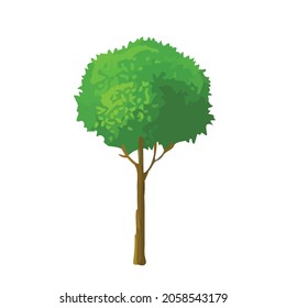 ilustración vectorial de un árbol. Se puede usar para describir temas de naturaleza o estilo de vida saludable.