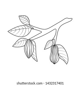 Vector illustration of tree and chocolate icon. Set of tree and plantation vector icon for stock.
